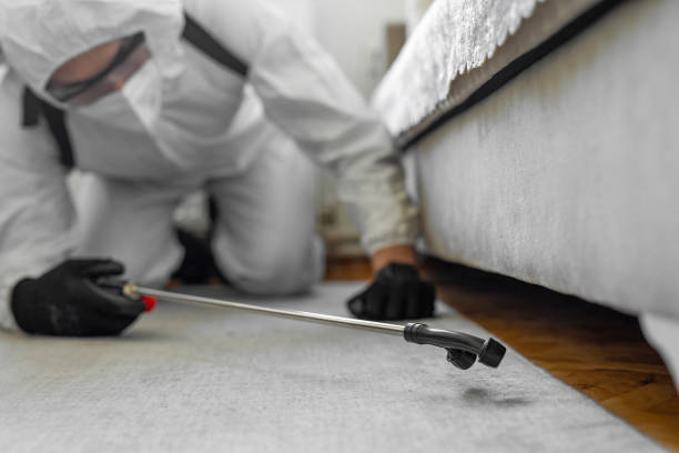 Professional Termite Control technician working in Owatonna, MN