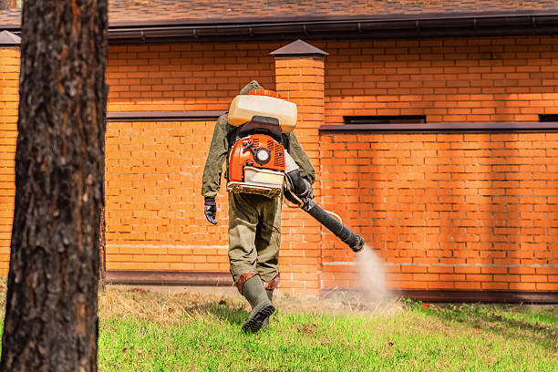 Trusted Ant Control service in Owatonna, MN - Nex Pest Control
